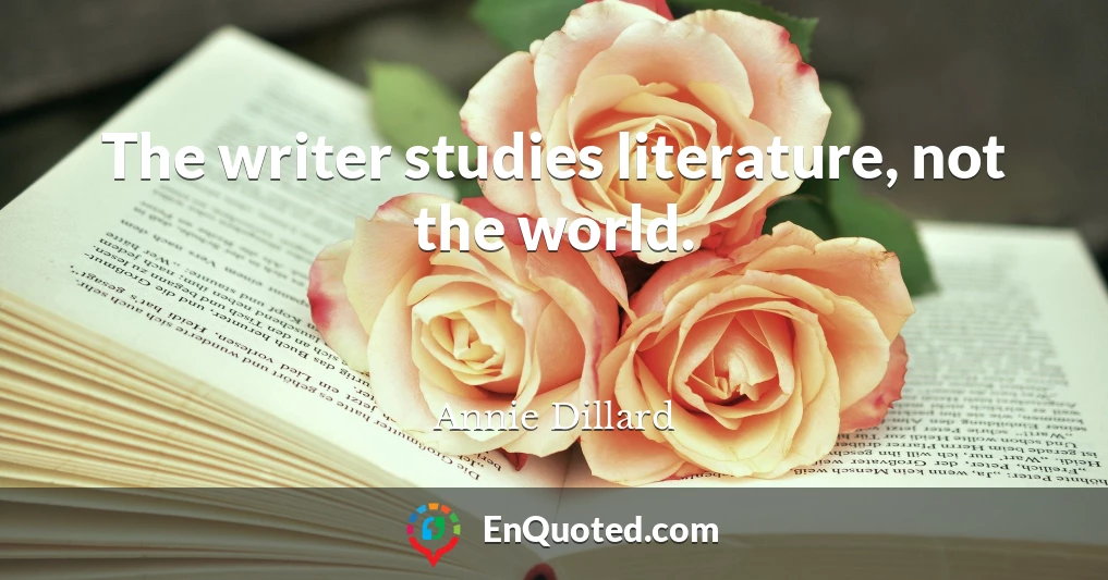 The writer studies literature, not the world.