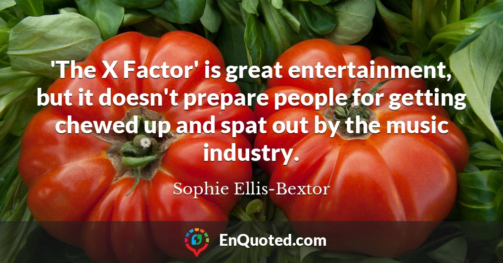 'The X Factor' is great entertainment, but it doesn't prepare people for getting chewed up and spat out by the music industry.