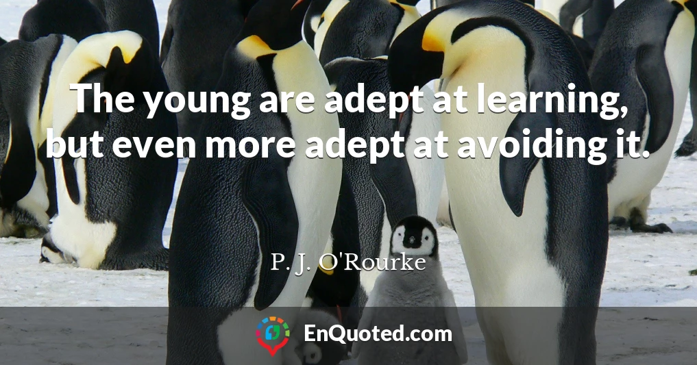 The young are adept at learning, but even more adept at avoiding it.