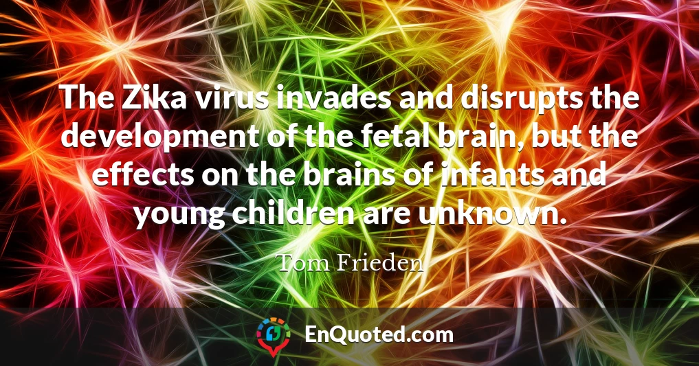 The Zika virus invades and disrupts the development of the fetal brain, but the effects on the brains of infants and young children are unknown.