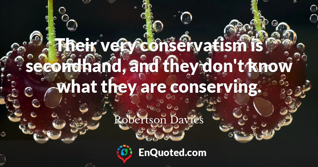 Their very conservatism is secondhand, and they don't know what they are conserving.