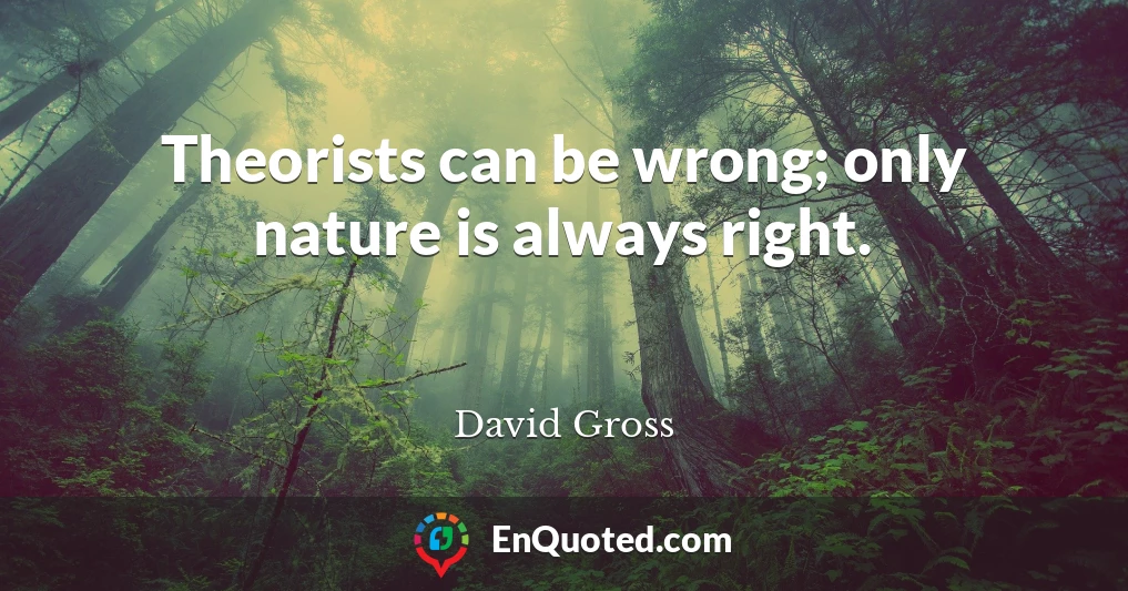 Theorists can be wrong; only nature is always right.