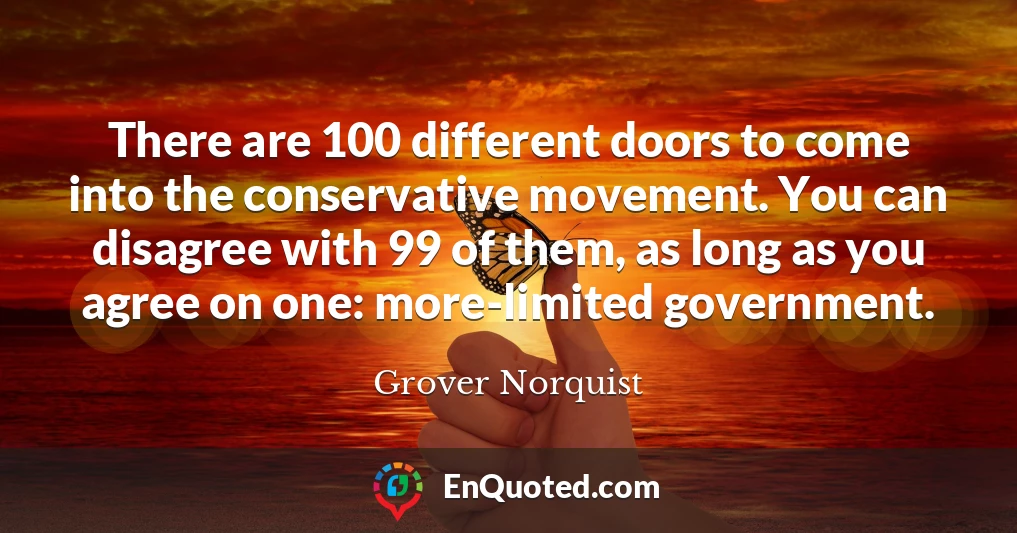 There are 100 different doors to come into the conservative movement. You can disagree with 99 of them, as long as you agree on one: more-limited government.