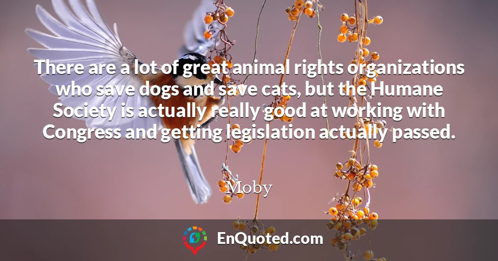 There are a lot of great animal rights organizations who save dogs and save cats, but the Humane Society is actually really good at working with Congress and getting legislation actually passed.
