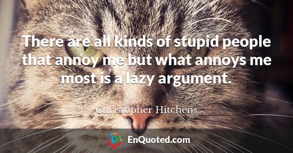 There are all kinds of stupid people that annoy me but what annoys me most is a lazy argument.