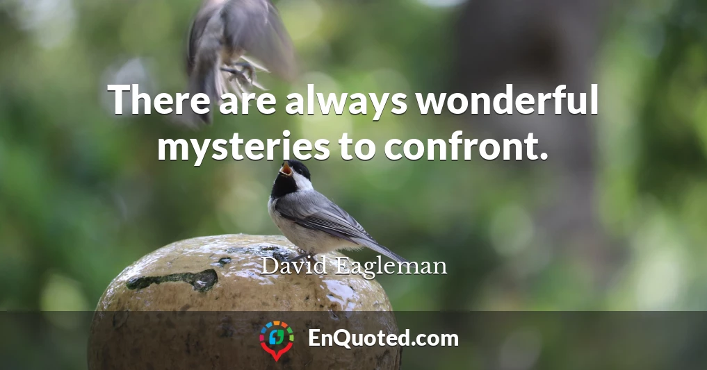 There are always wonderful mysteries to confront.