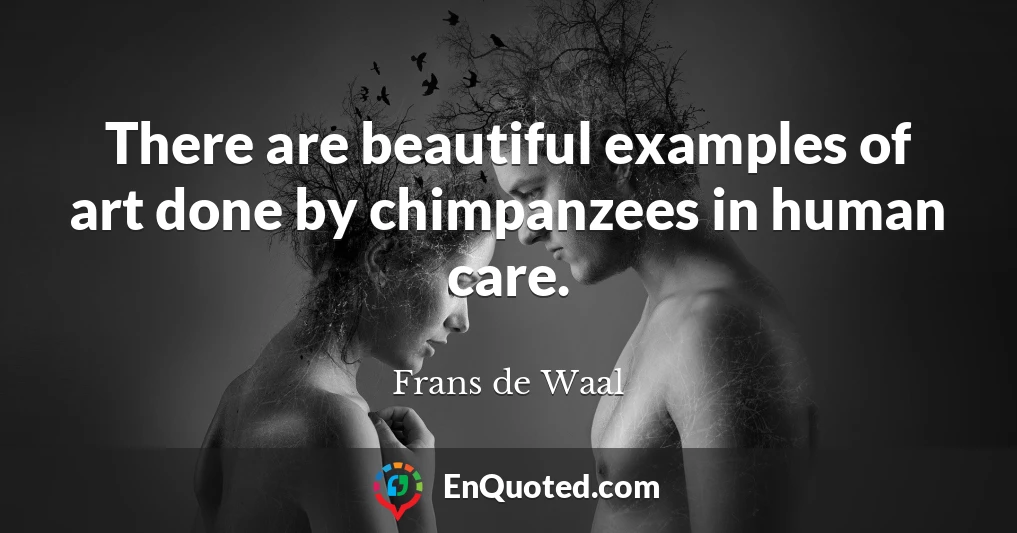 There are beautiful examples of art done by chimpanzees in human care.