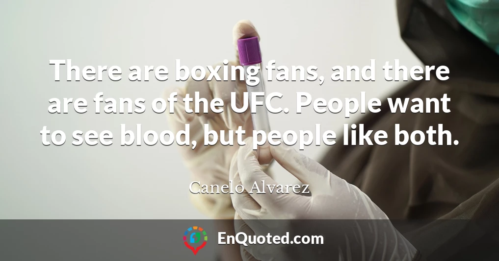 There are boxing fans, and there are fans of the UFC. People want to see blood, but people like both.