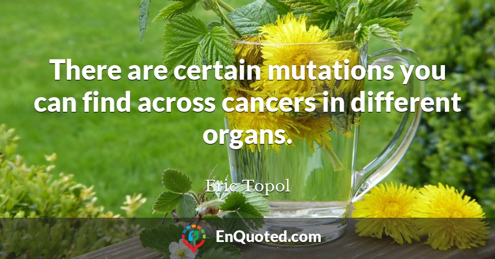 There are certain mutations you can find across cancers in different organs.