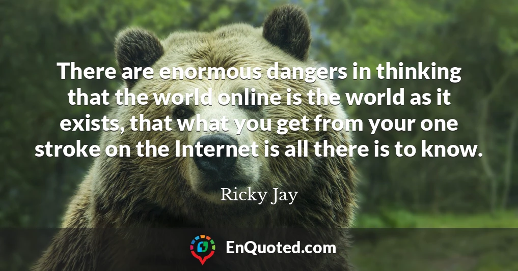 There are enormous dangers in thinking that the world online is the world as it exists, that what you get from your one stroke on the Internet is all there is to know.
