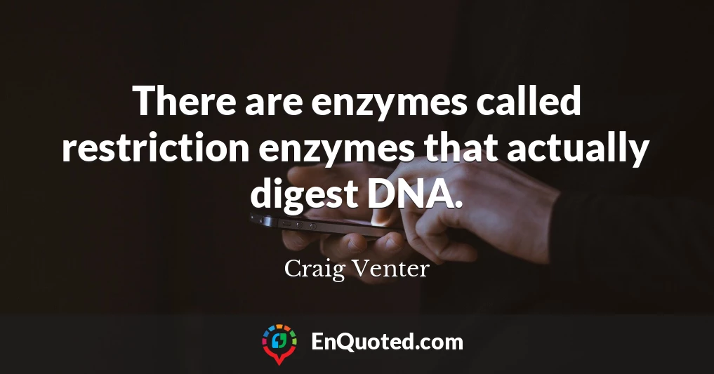 There are enzymes called restriction enzymes that actually digest DNA.