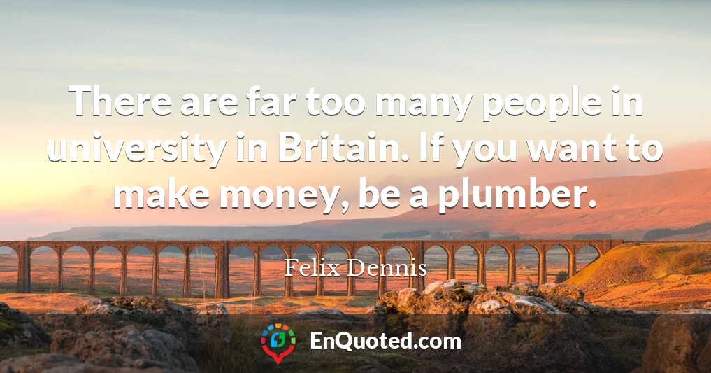There are far too many people in university in Britain. If you want to make money, be a plumber.