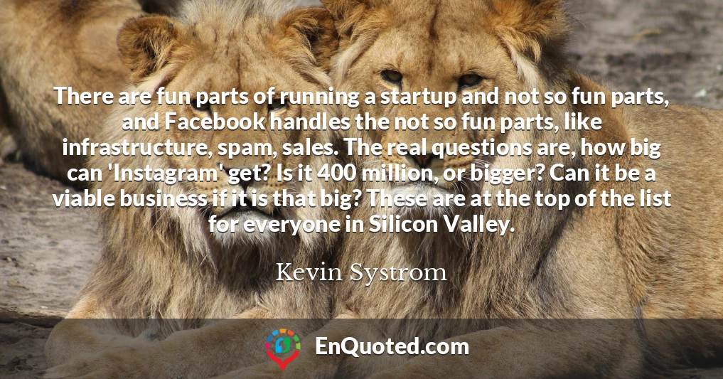 There are fun parts of running a startup and not so fun parts, and Facebook handles the not so fun parts, like infrastructure, spam, sales. The real questions are, how big can 'Instagram' get? Is it 400 million, or bigger? Can it be a viable business if it is that big? These are at the top of the list for everyone in Silicon Valley.