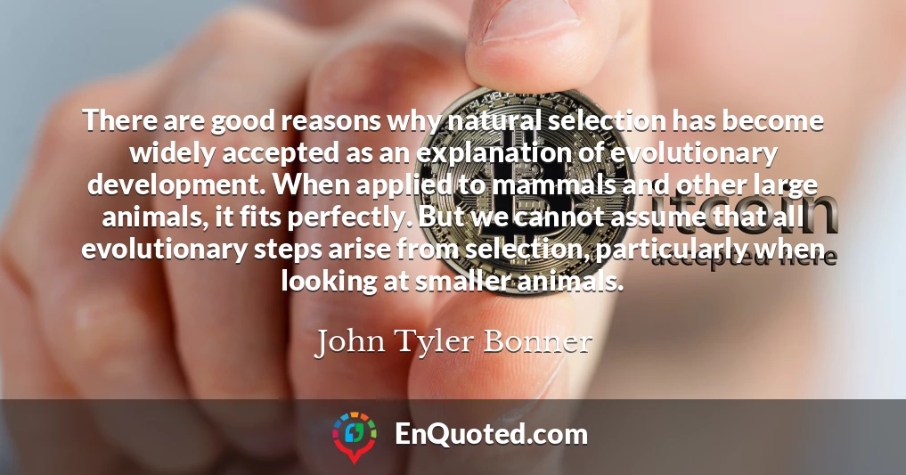 There are good reasons why natural selection has become widely accepted as an explanation of evolutionary development. When applied to mammals and other large animals, it fits perfectly. But we cannot assume that all evolutionary steps arise from selection, particularly when looking at smaller animals.