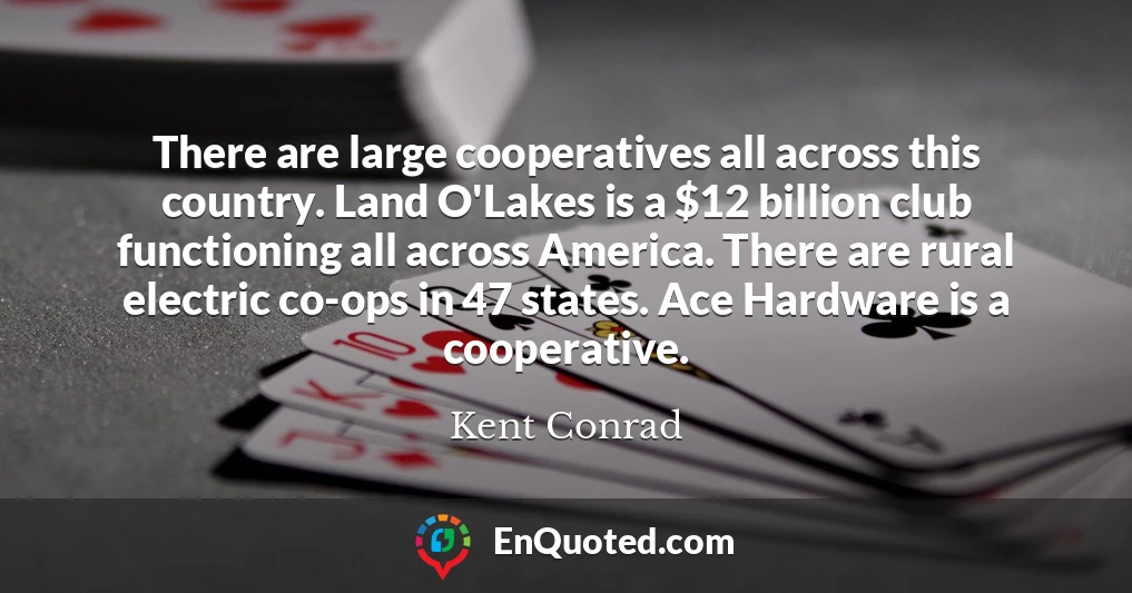 There are large cooperatives all across this country. Land O'Lakes is a $12 billion club functioning all across America. There are rural electric co-ops in 47 states. Ace Hardware is a cooperative.