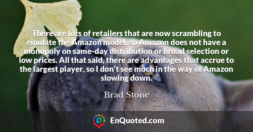 There are lots of retailers that are now scrambling to emulate the Amazon model, so Amazon does not have a monopoly on same-day distribution or broad selection or low prices. All that said, there are advantages that accrue to the largest player, so I don't see much in the way of Amazon slowing down.