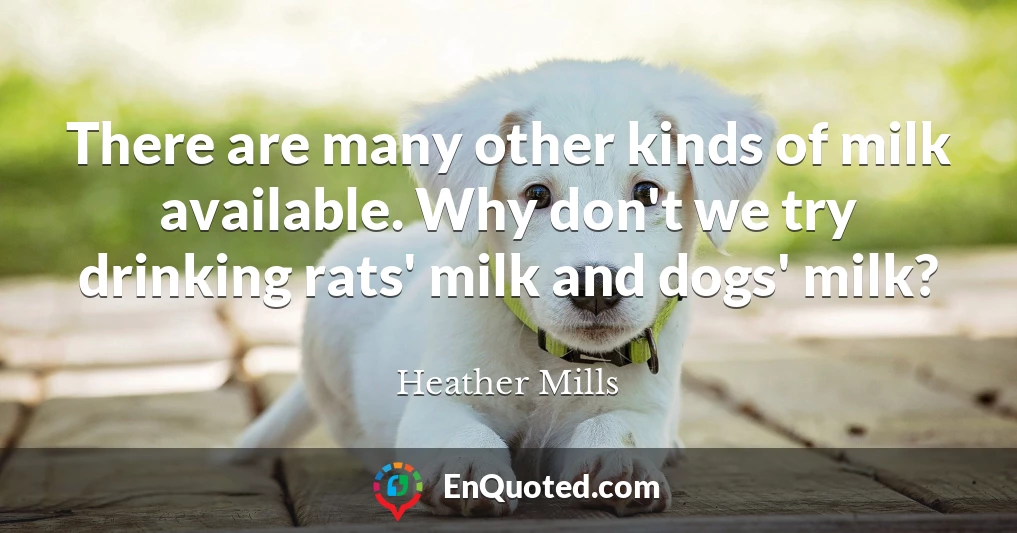 There are many other kinds of milk available. Why don't we try drinking rats' milk and dogs' milk?