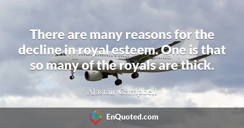 There are many reasons for the decline in royal esteem. One is that so many of the royals are thick.