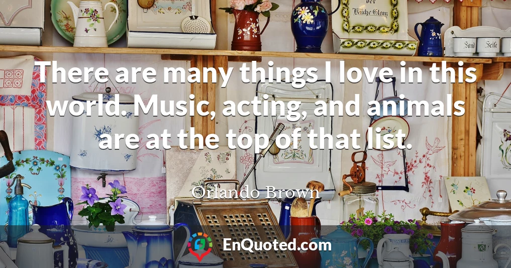 There are many things I love in this world. Music, acting, and animals are at the top of that list.