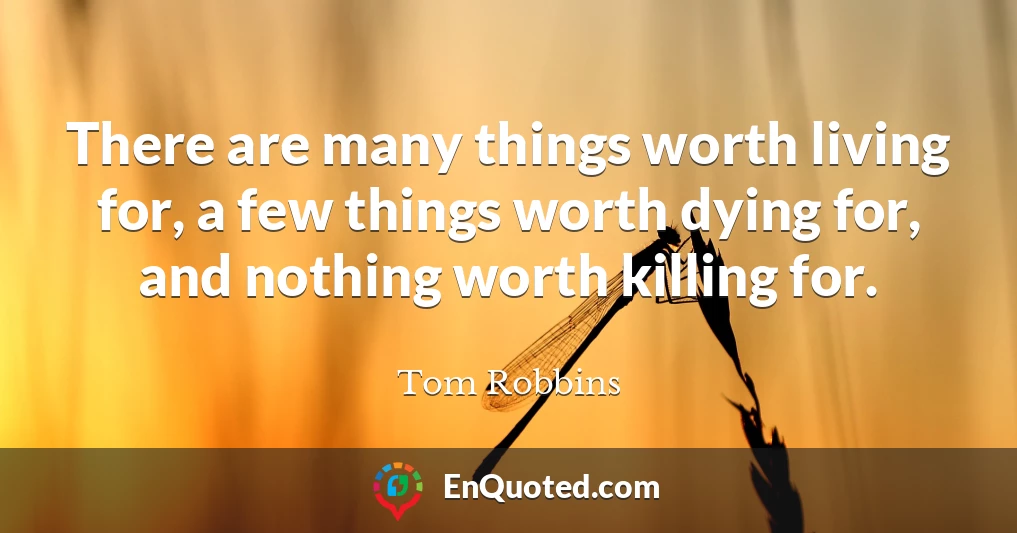 There are many things worth living for, a few things worth dying for, and nothing worth killing for.