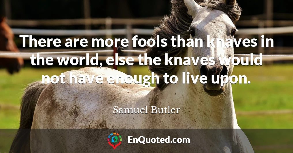 There are more fools than knaves in the world, else the knaves would not have enough to live upon.