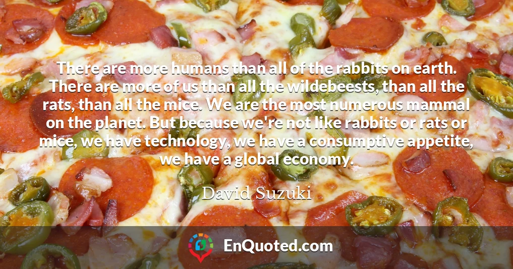 There are more humans than all of the rabbits on earth. There are more of us than all the wildebeests, than all the rats, than all the mice. We are the most numerous mammal on the planet. But because we're not like rabbits or rats or mice, we have technology, we have a consumptive appetite, we have a global economy.