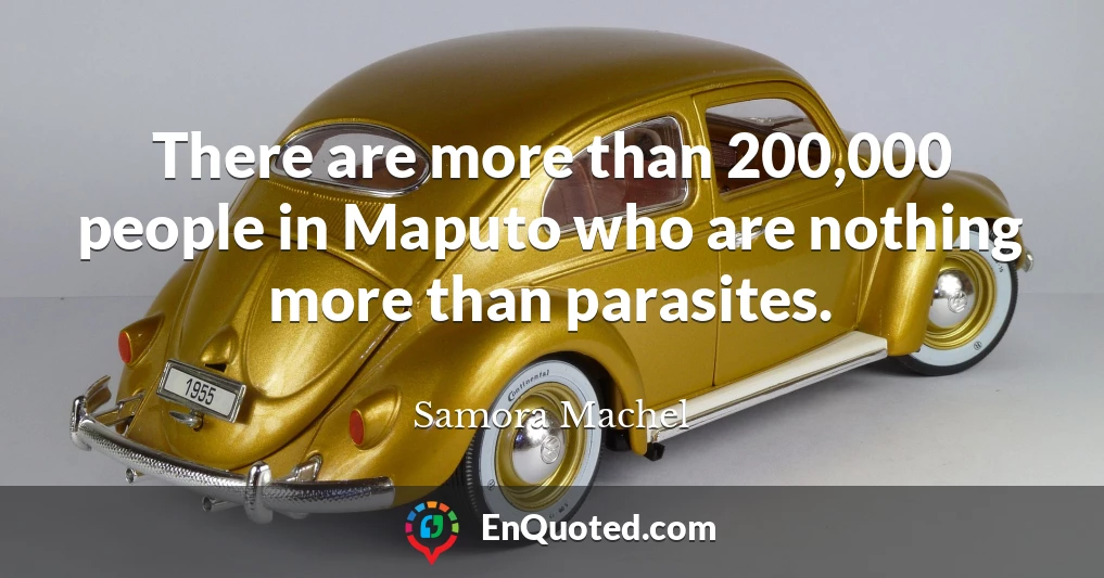 There are more than 200,000 people in Maputo who are nothing more than parasites.