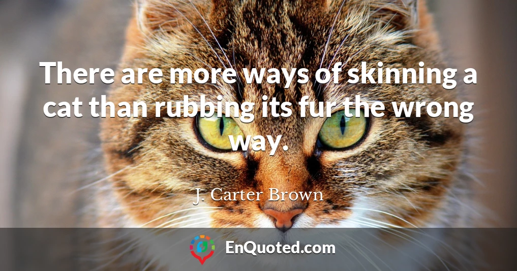 There are more ways of skinning a cat than rubbing its fur the wrong way.