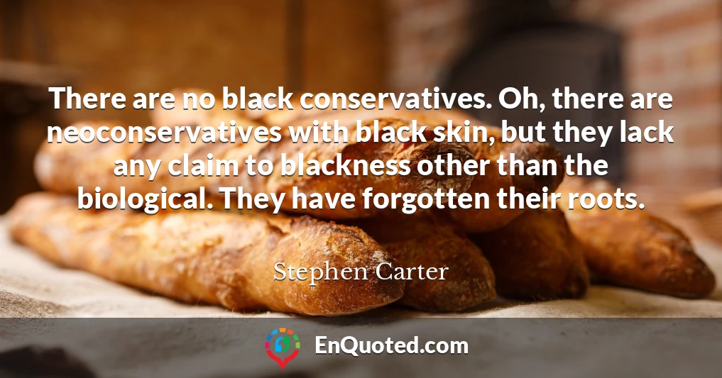 There are no black conservatives. Oh, there are neoconservatives with black skin, but they lack any claim to blackness other than the biological. They have forgotten their roots.