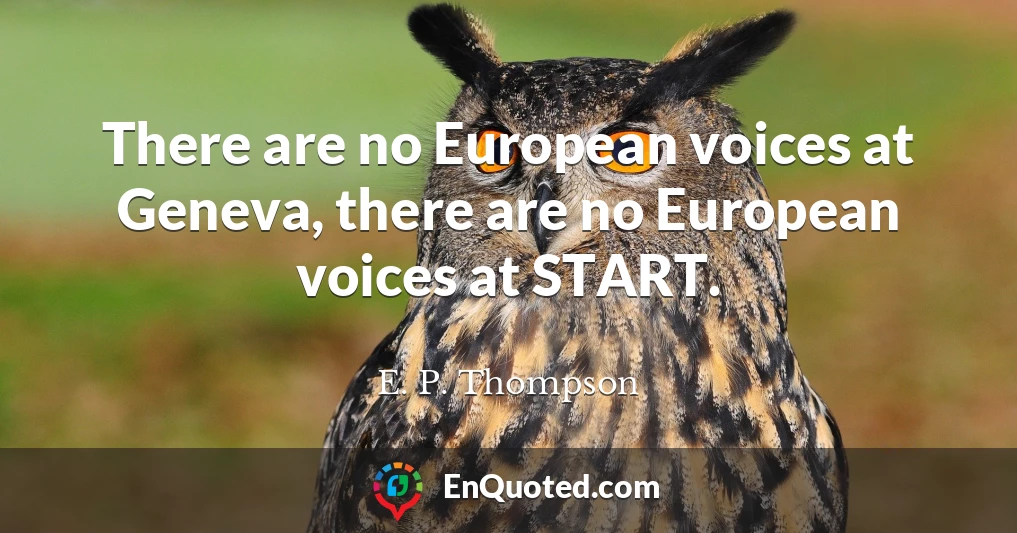 There are no European voices at Geneva, there are no European voices at START.