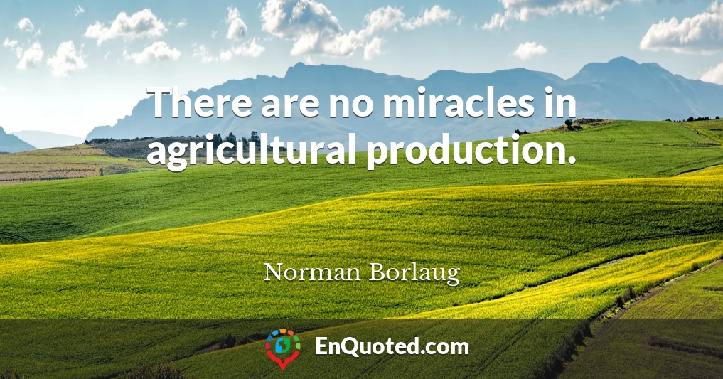 There are no miracles in agricultural production.