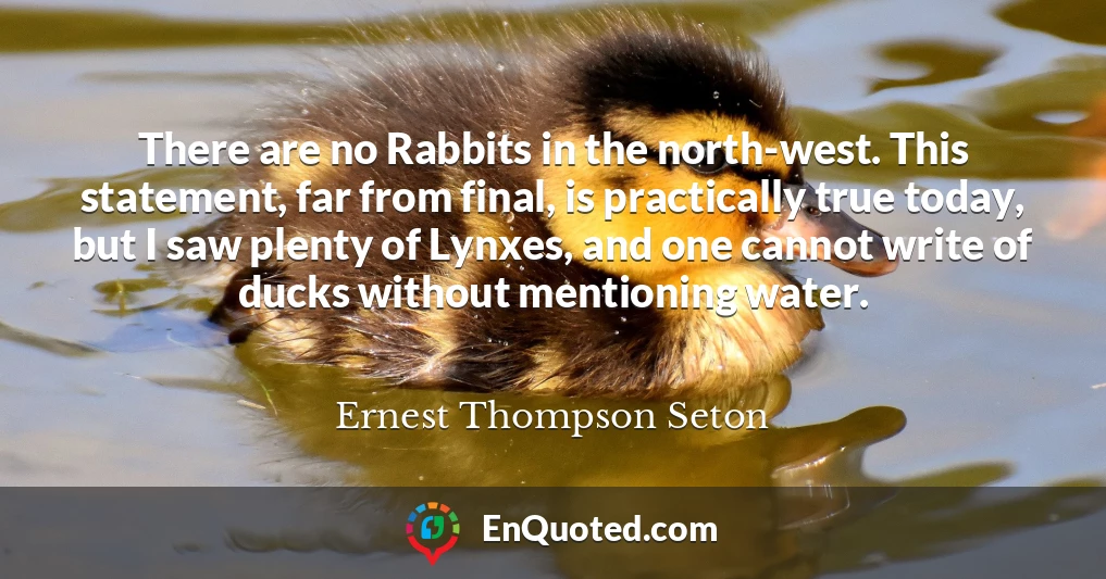 There are no Rabbits in the north-west. This statement, far from final, is practically true today, but I saw plenty of Lynxes, and one cannot write of ducks without mentioning water.