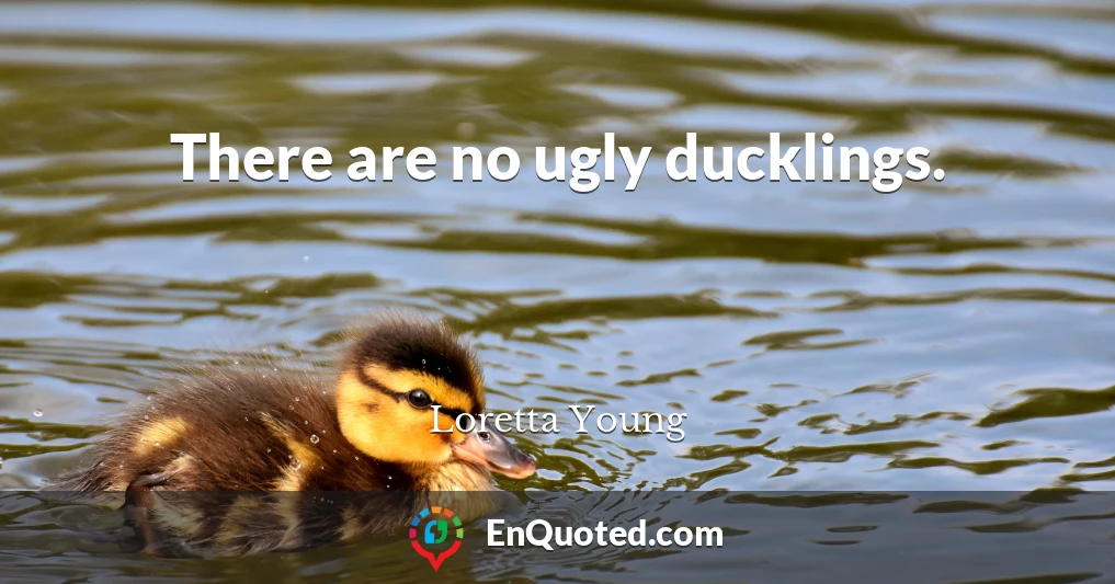 There are no ugly ducklings.