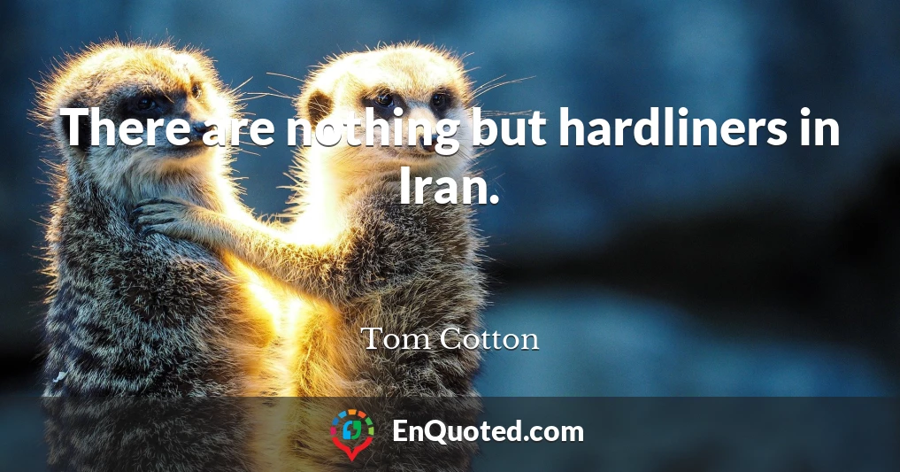 There are nothing but hardliners in Iran.