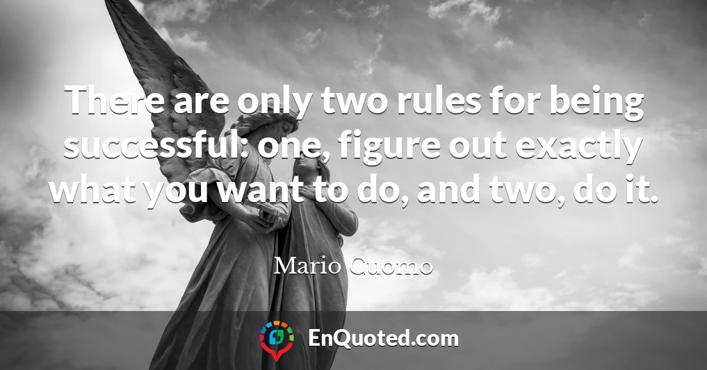 There are only two rules for being successful: one, figure out exactly what you want to do, and two, do it.