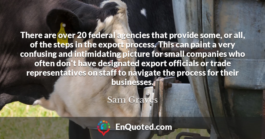 There are over 20 federal agencies that provide some, or all, of the steps in the export process. This can paint a very confusing and intimidating picture for small companies who often don't have designated export officials or trade representatives on staff to navigate the process for their businesses.