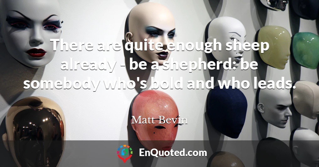 There are quite enough sheep already - be a shepherd: be somebody who's bold and who leads.