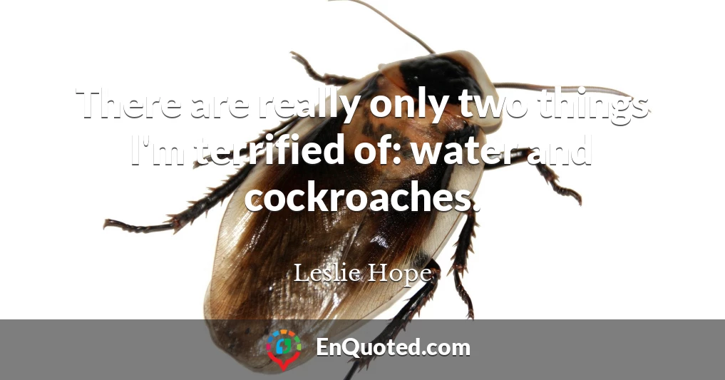 There are really only two things I'm terrified of: water and cockroaches.