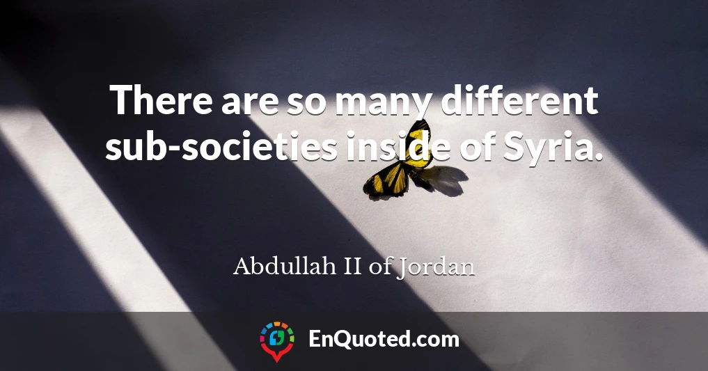 There are so many different sub-societies inside of Syria.