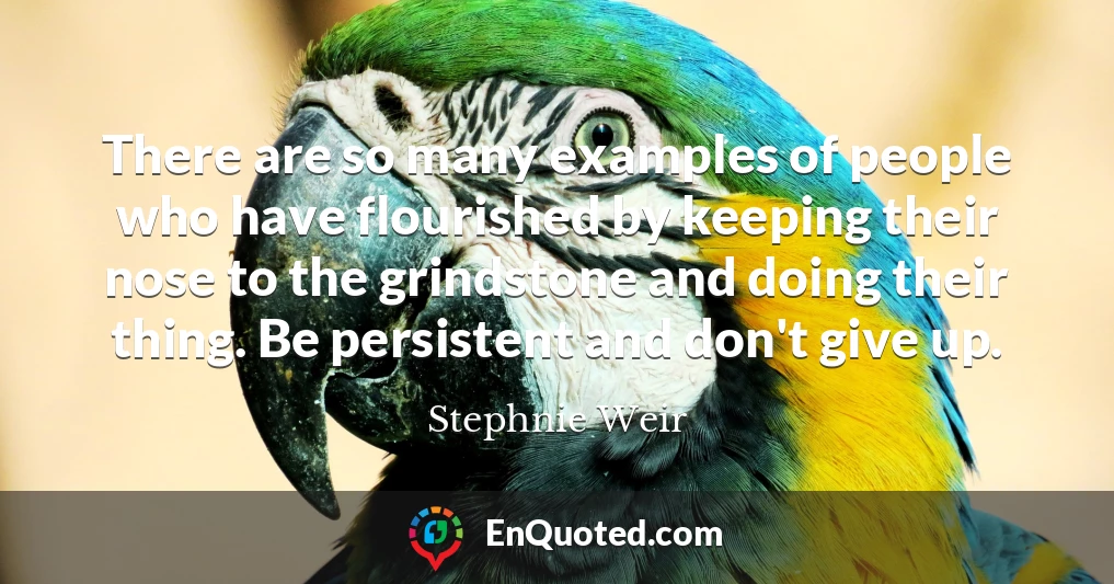 There are so many examples of people who have flourished by keeping their nose to the grindstone and doing their thing. Be persistent and don't give up.