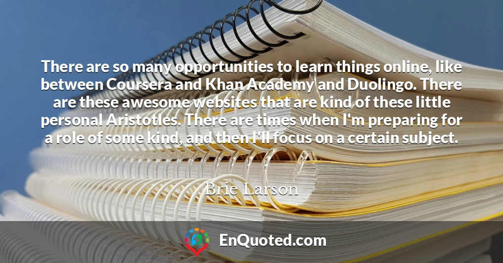 There are so many opportunities to learn things online, like between Coursera and Khan Academy and Duolingo. There are these awesome websites that are kind of these little personal Aristotles. There are times when I'm preparing for a role of some kind, and then I'll focus on a certain subject.