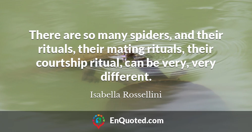 There are so many spiders, and their rituals, their mating rituals, their courtship ritual, can be very, very different.