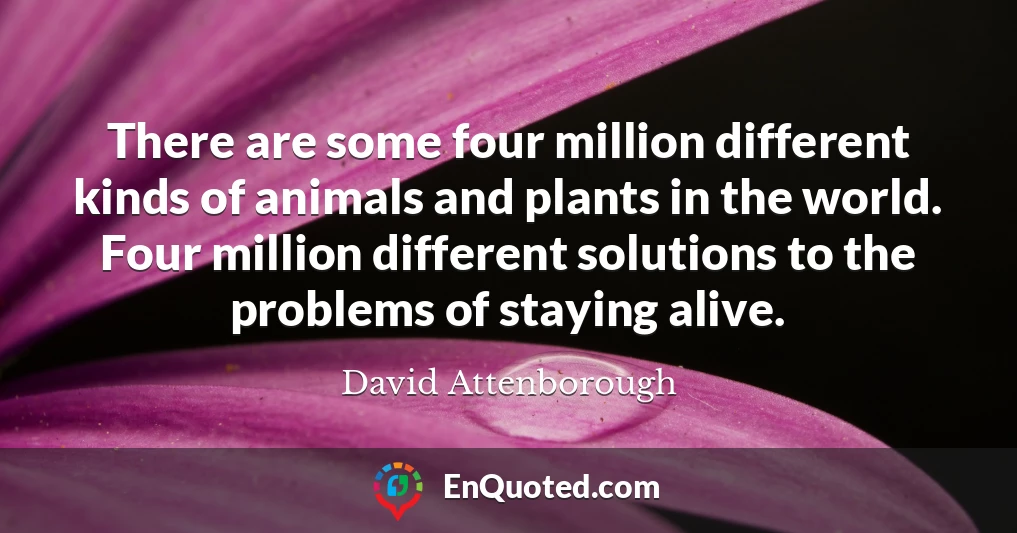 There are some four million different kinds of animals and plants in the world. Four million different solutions to the problems of staying alive.