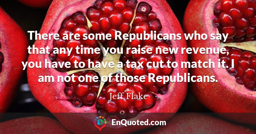 There are some Republicans who say that any time you raise new revenue, you have to have a tax cut to match it. I am not one of those Republicans.