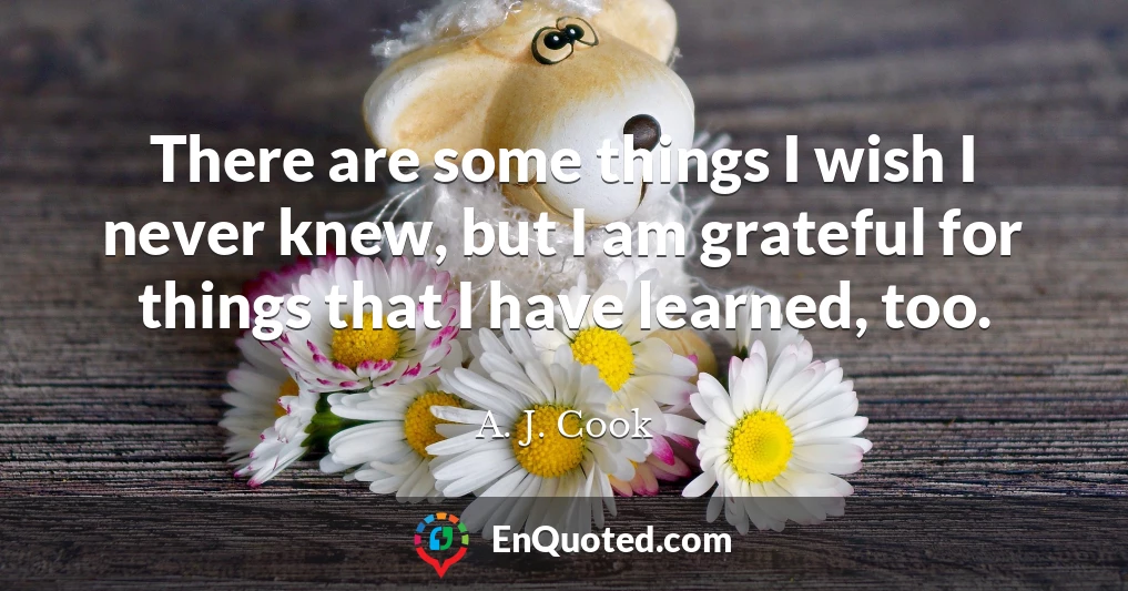 There are some things I wish I never knew, but I am grateful for things that I have learned, too.