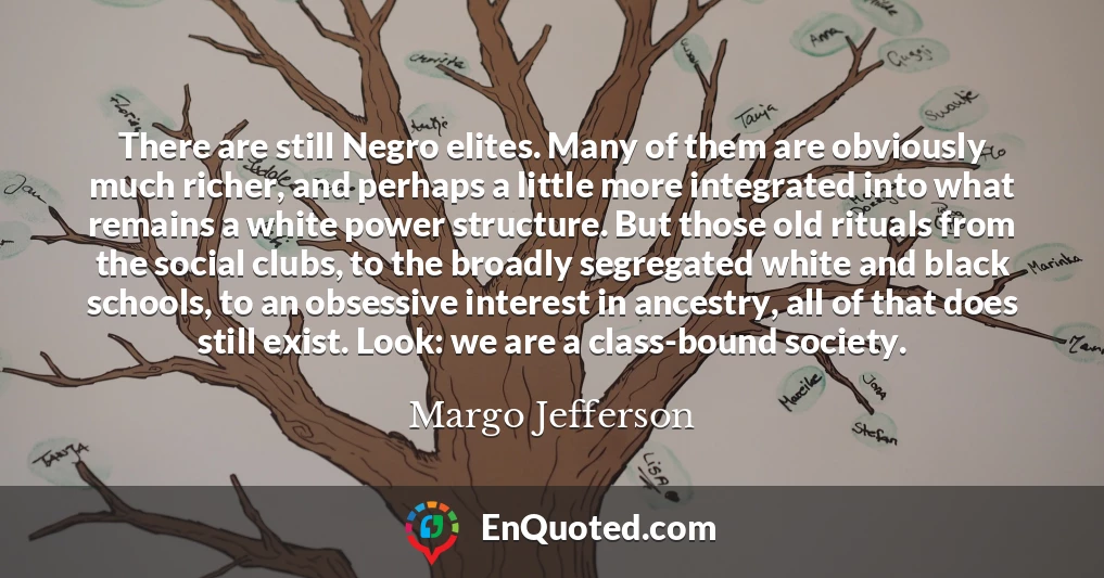 There are still Negro elites. Many of them are obviously much richer, and perhaps a little more integrated into what remains a white power structure. But those old rituals from the social clubs, to the broadly segregated white and black schools, to an obsessive interest in ancestry, all of that does still exist. Look: we are a class-bound society.