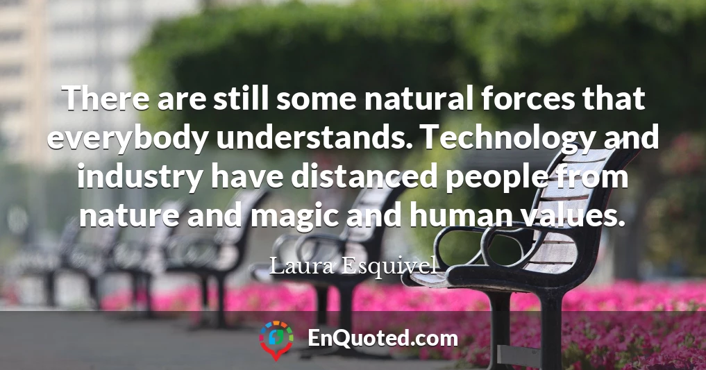There are still some natural forces that everybody understands. Technology and industry have distanced people from nature and magic and human values.