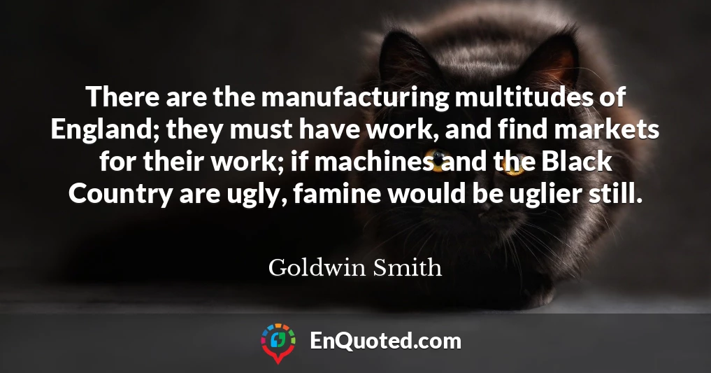 There are the manufacturing multitudes of England; they must have work, and find markets for their work; if machines and the Black Country are ugly, famine would be uglier still.