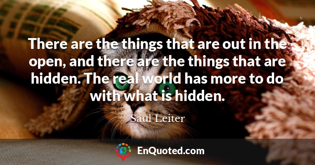 There are the things that are out in the open, and there are the things that are hidden. The real world has more to do with what is hidden.