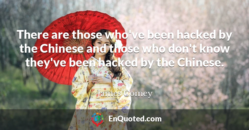 There are those who've been hacked by the Chinese and those who don't know they've been hacked by the Chinese.